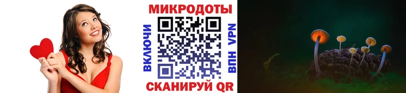 Галлюциногенные грибы Psilocybe Джанкой